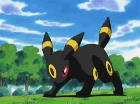 umbreon | Tag | PrimoGIF