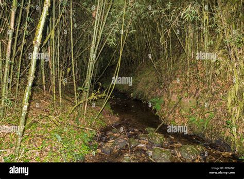 Bale Mountains, Ethiopia Stock Photo - Alamy