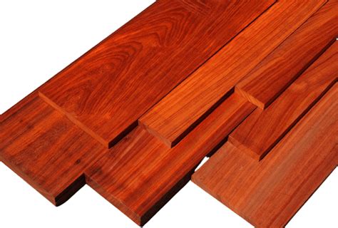 13 Exotic Wood Types : Exploring The Most Rare Species