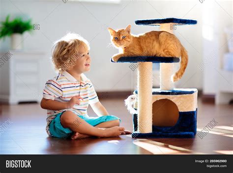 Child Playing Cat Home Image & Photo (Free Trial) | Bigstock