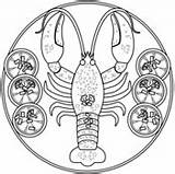Crawfish coloring Pages  Free Coloring sketch template