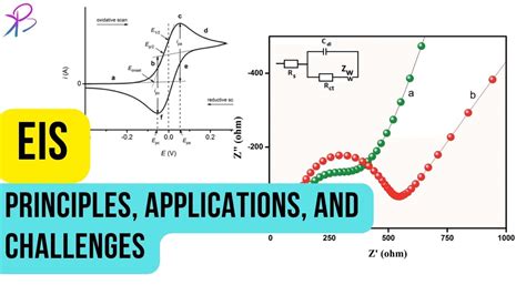 Electrochemical Impedance Spectroscopy (EIS): Principles, Applications, and Challenges - Science ...