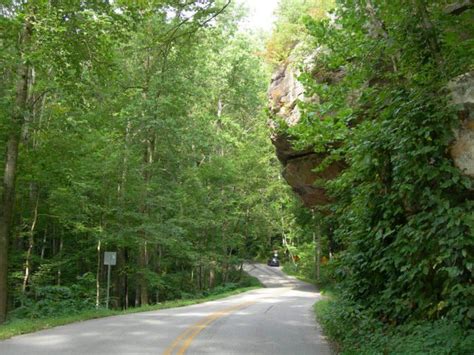 Rocks jut out over the highway and are often overcome by foliage ...