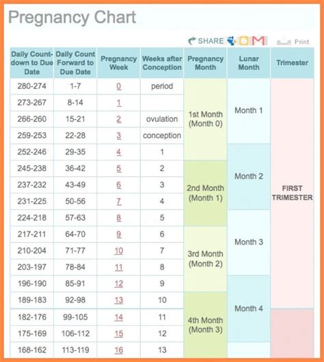 Pregnancy Calendar Week by Week Chart | Pregnancy calendar, Pregnancy ...