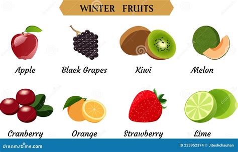 Winter Fruits Vector Illustration, Simple Fruits Vector Illustration ...