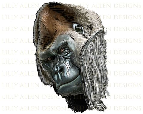 Gorilla Head Png Gorilla Png Sublimation Design Hand Drawn - Etsy