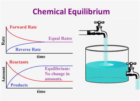 Chemical Equilibrium - ClassNotes.ng