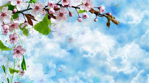 Sakura Petals In The Sky HD desktop wallpaper : Widescreen : High ...