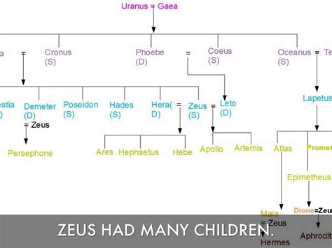 Zeus Children Chart