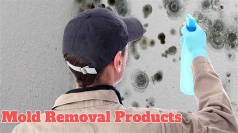 Mold Removal Products - Mold Guide 101