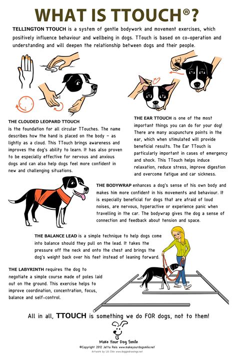 The Tellington TTouch Method: What Is It? | Healthy Paws Pet Insurance