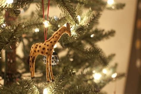 giraffe | Giraffe, Giraffe art, Christmas