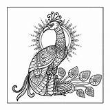 Premium Vector  Peacock mandala Design For coloring book sketch template