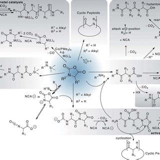 Synthesis of polymer–protein conjugates via different routes. Proteins ...