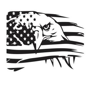 American Eagle Flag Vector