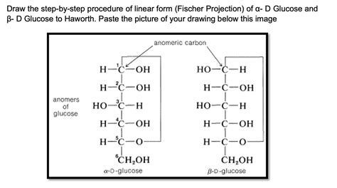 L Glucose Fischer Projection