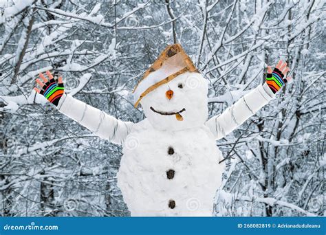 Snowman with arms stock image. Image of arms, mittens - 268082819