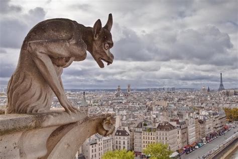 An unusual gargoyle on the Notre Dame - TOURS & RENTALS