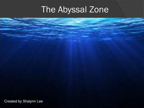 PPT - The Abyssal Zone PowerPoint Presentation - ID:2131216