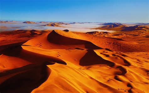 Desert Oasis Wallpaper (57+ images)