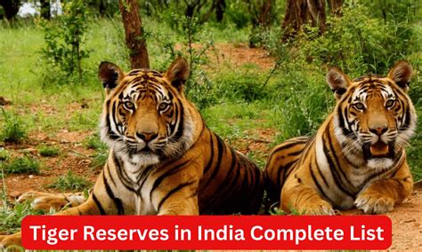 Tiger Reserves in India Complete List and Importance