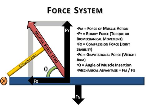 Compression Force Diagram