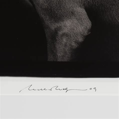 WILLIAM WEGMAN, photography signed William Wegman, edition of 1500 ...