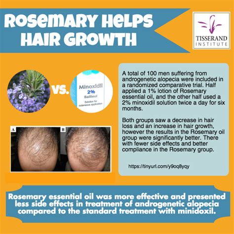 Rosemary essential oil is a promising alternative for hair growth ...