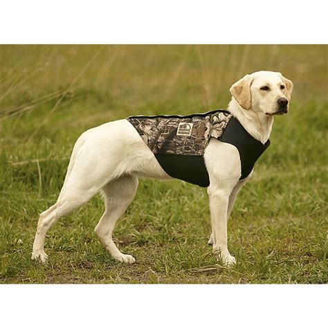 Hodgman® Neoprene Dog Vest - 85306, Dog Vests & Apparel at Sportsman's Guide