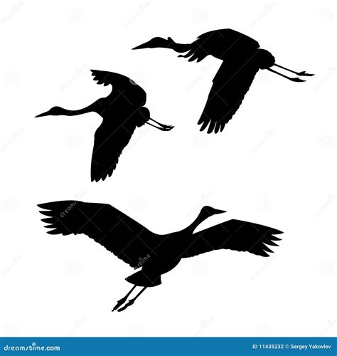 Silhouette Flying Cranes Stock Photography - Image: 11435232