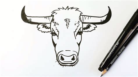 how to draw bull face - howtoposeforpicturesinsaree