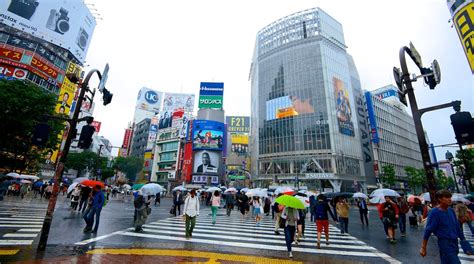 Shibuya Crossing - Tours and Activities | Expedia