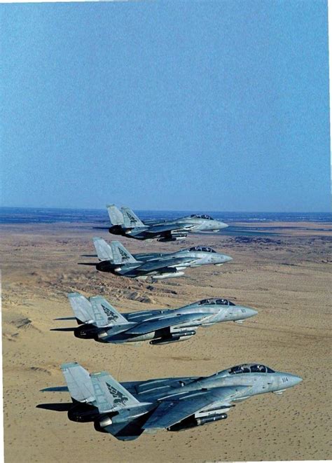 F-14 Tomcat Variants Crew Perspectives