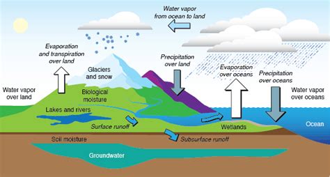 Diagram Water Cycle Runoff