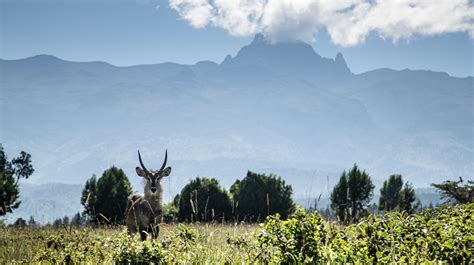 Fairmont Mount Kenya Safari Club - Kenya Hotels - Nanyuki, Kenya ...