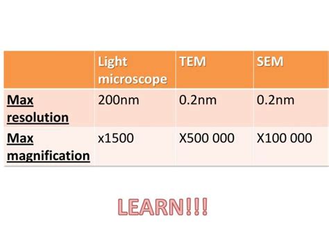 What Is The Maximum Resolution And Magnification Of A Light Microscope ...