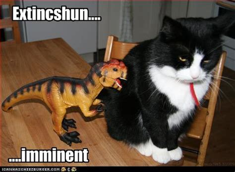 Funny cat picture: Extincshun...Imminent - Funny Cat Pictures with Captions