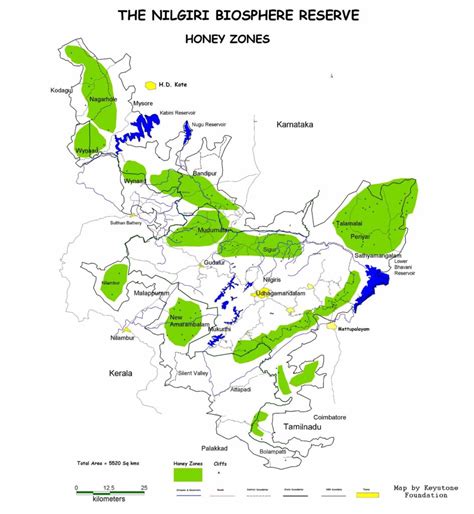 Indigenous People of the Nilgiri Biosphere Reserve – Honey Portal