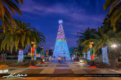 Orlando Downtown Lake Eola Christmas Tree 2016 | Royal Stock Photo