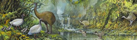 Peter Schouten - The fauna of New Zealand in the early Holocene | Prehistoric wildlife ...