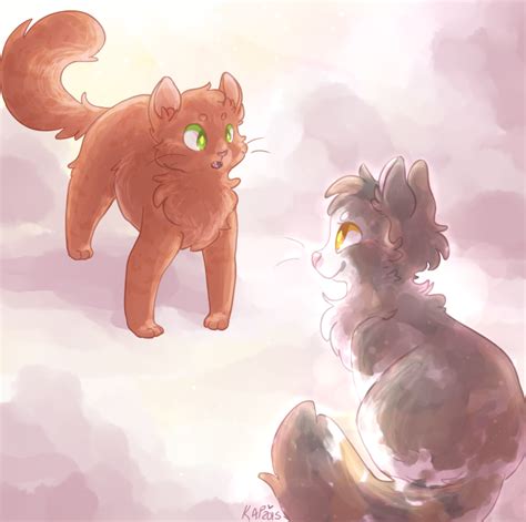 reremake: spottedleaf and firestar by Kitzophrenic on DeviantArt