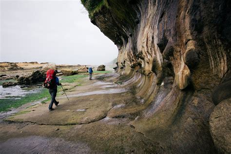 The West Coast Trail: Vancouver Island's Iconic Hike | Switchback Travel