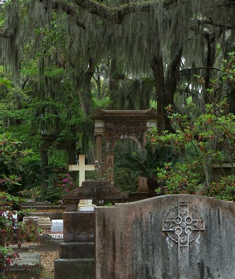 Savannah Cemetery Photograph by Donna Hernandez | Fine Art America