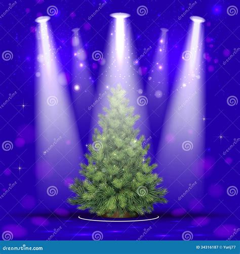 Christmas Tree in the Spotlight Stock Vector - Illustration of celebration, gold: 34316187