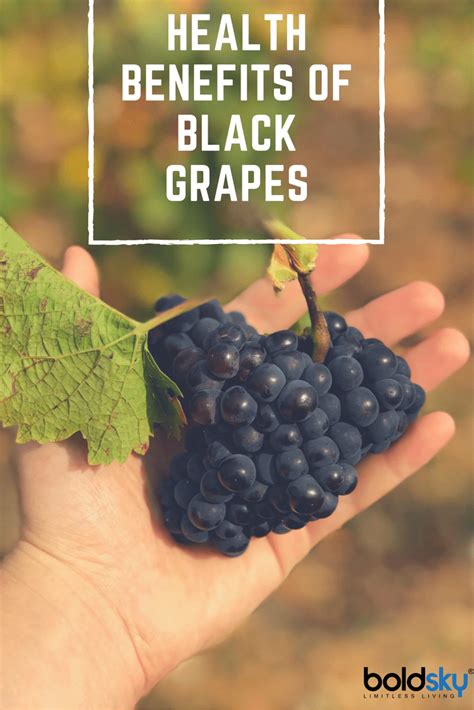 10 Health Benefits Of Black Grapes - Boldsky.com