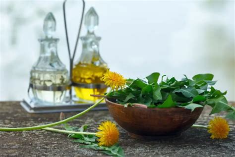 Dandelion Vinegar Recipe – Practical Frugality