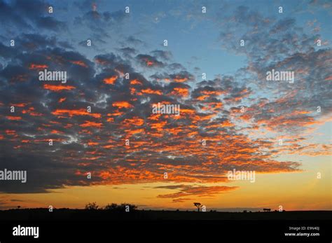 Masai Mara Sunrise Stock Photo - Alamy