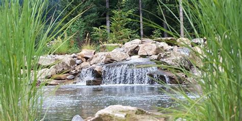 Garden Pond Design Ideas - Landscaping Network