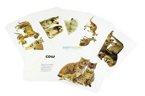 Animals & Their Babies Flashcards – – Booky Wooky