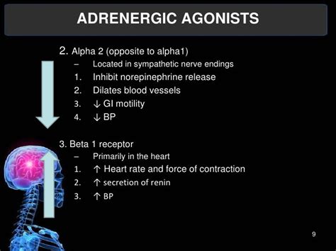 PHARMA-ADRENERGIC AGONIST, ANTAGONIST, CHOLINERGIC AND ANTICHOLINERGI…